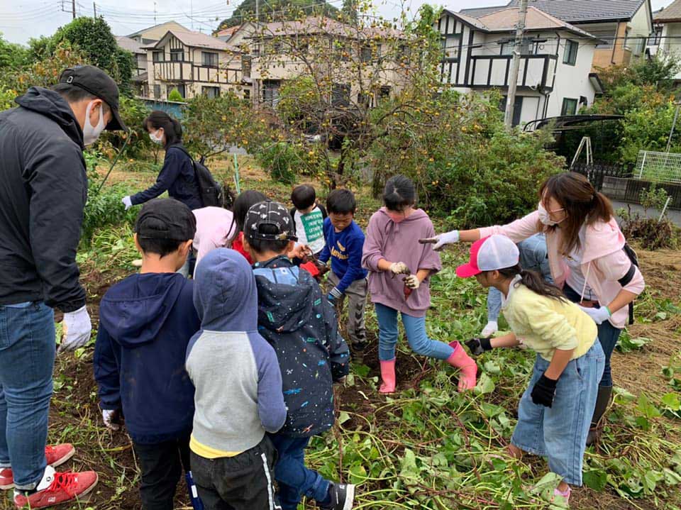 正竜会2020年秋の芋掘り