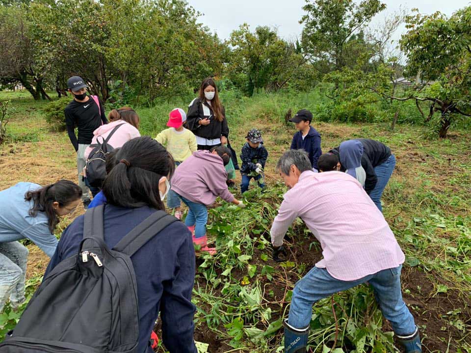 正竜会2020年秋の芋掘り
