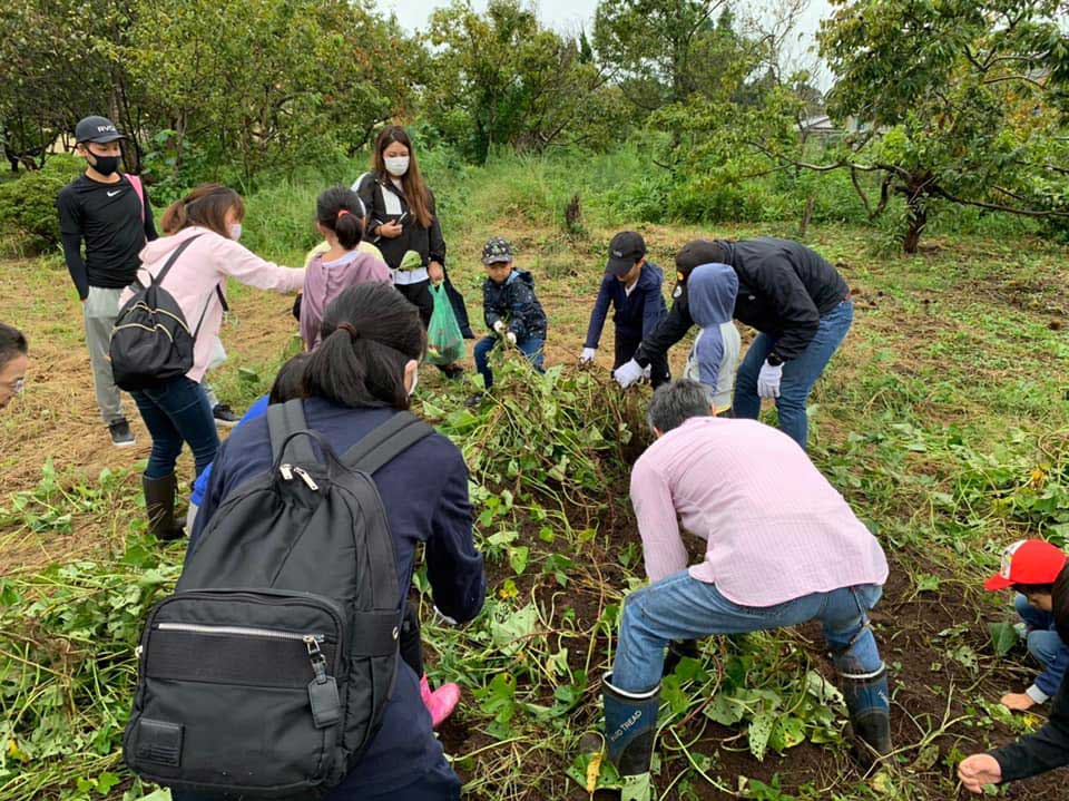 正竜会2020年秋の芋掘り