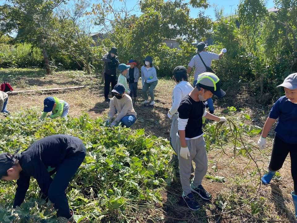 正竜会2022年秋の芋掘り