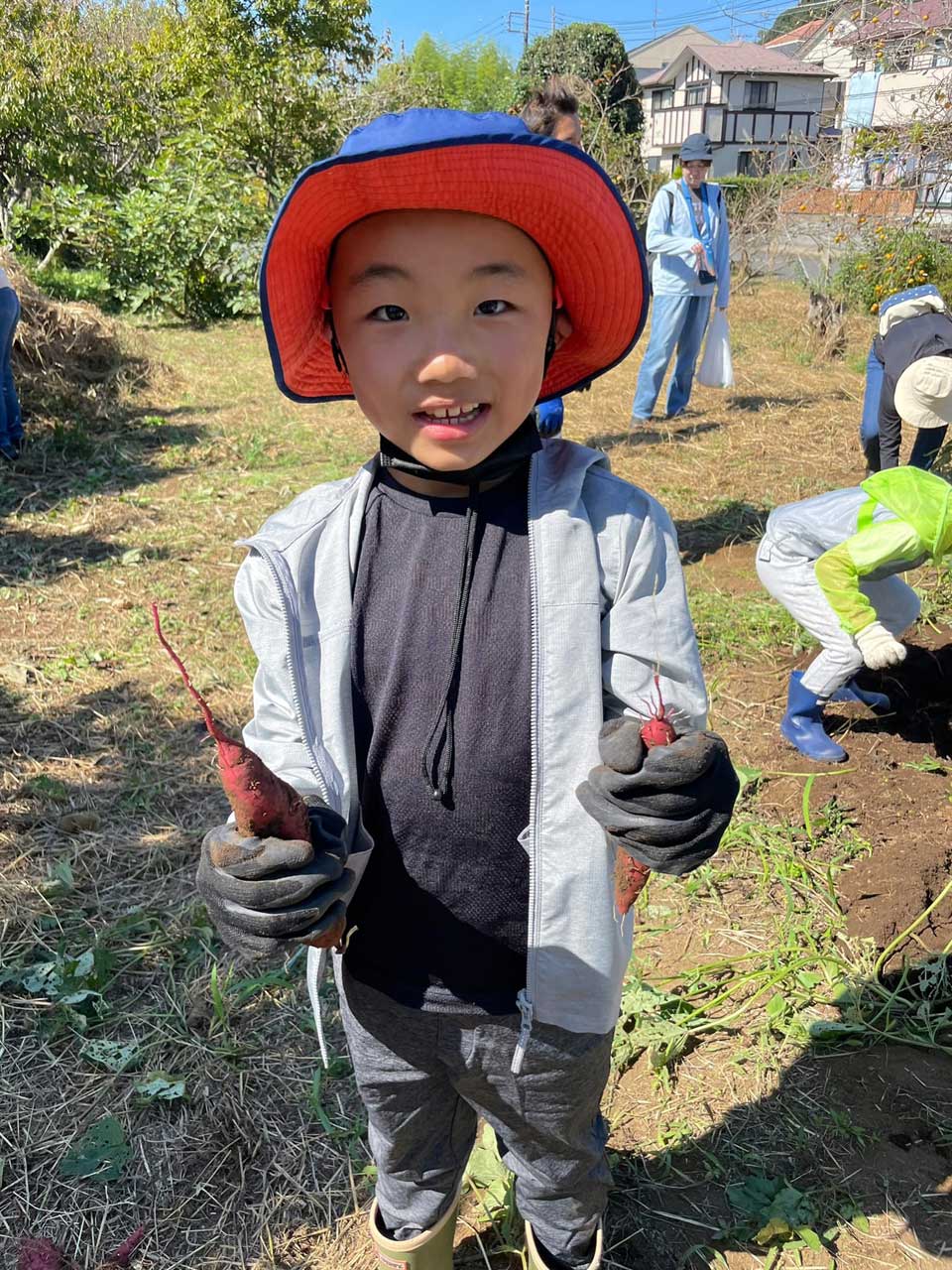 正竜会2022年秋の芋掘り
