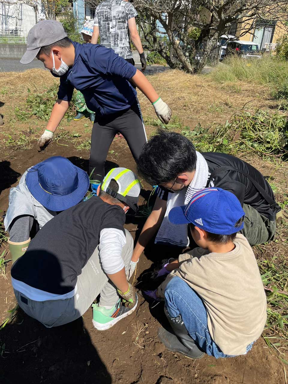 正竜会2022年秋の芋掘り
