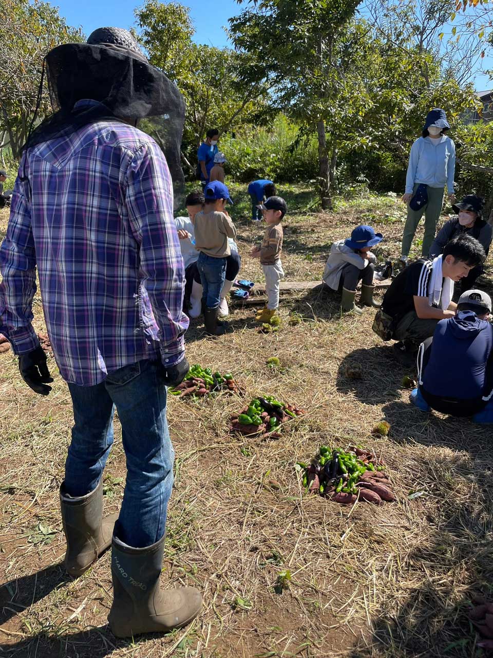 正竜会2022年秋の芋掘り