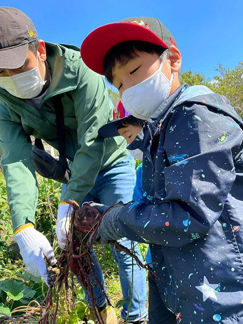 正竜会2021年秋の芋掘り