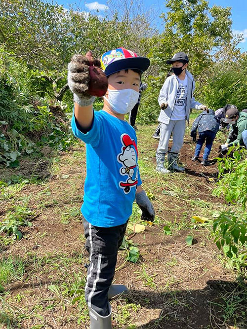 正竜会2021年秋の芋掘り