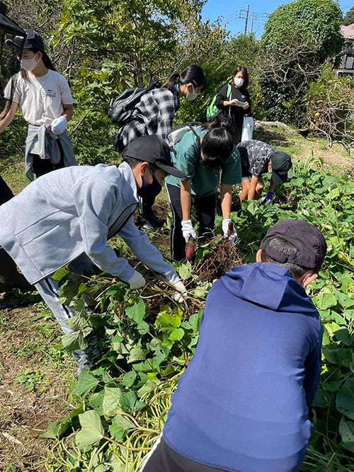 正竜会2021年秋の芋掘り