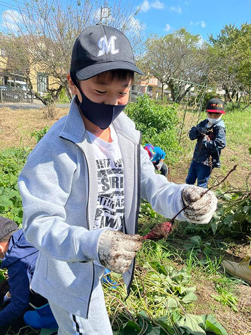 正竜会2021年秋の芋掘り