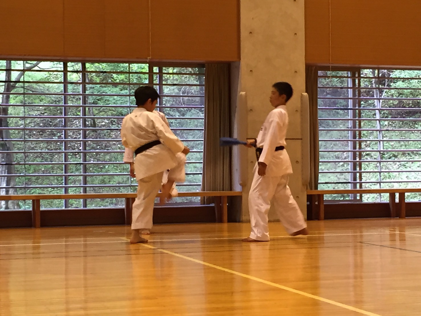 正竜会2016年夏合宿ロープウエイの様子