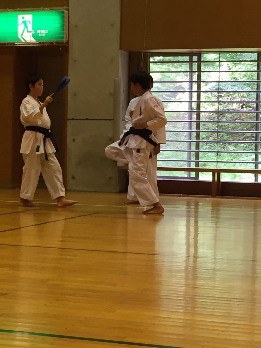 正竜会2016年夏合宿ロープウエイの様子