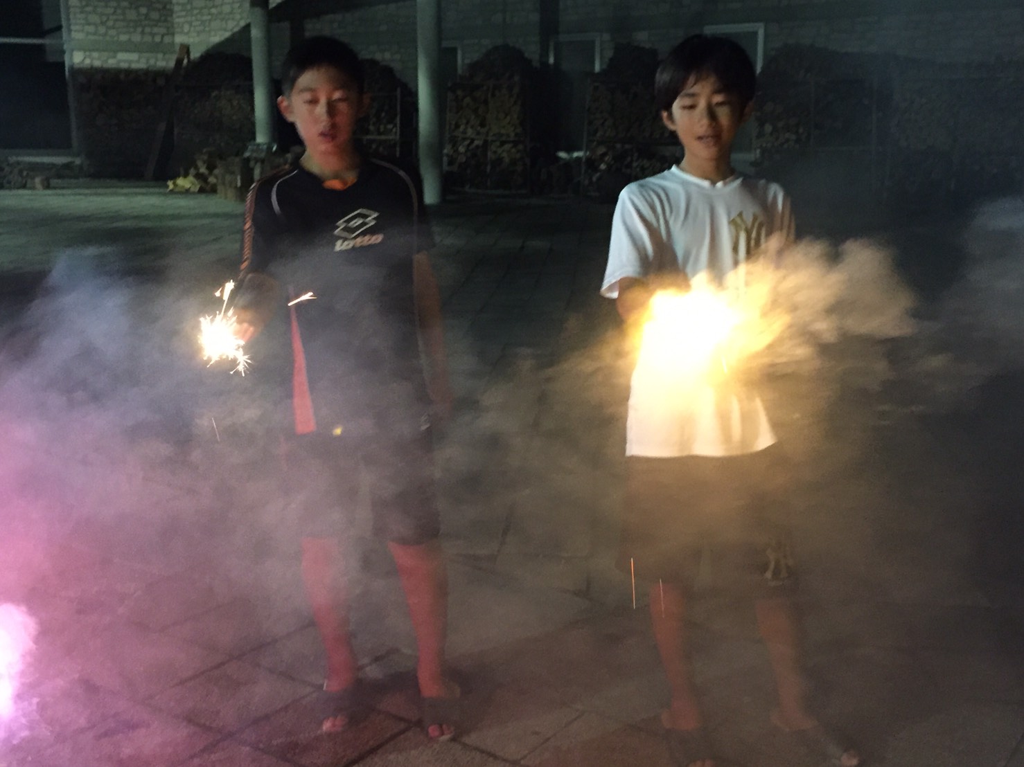 正竜会2016年夏合宿体験学習の様子
